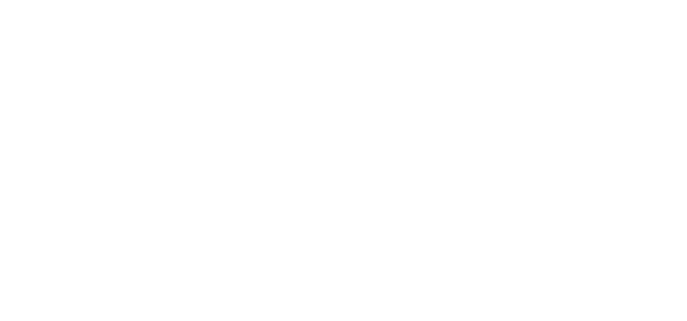 blizzard-logo