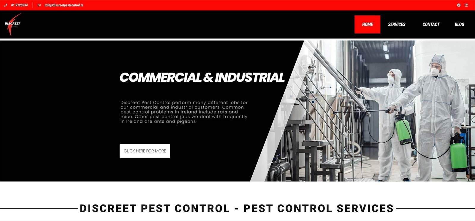 projektowanie stron internetowych