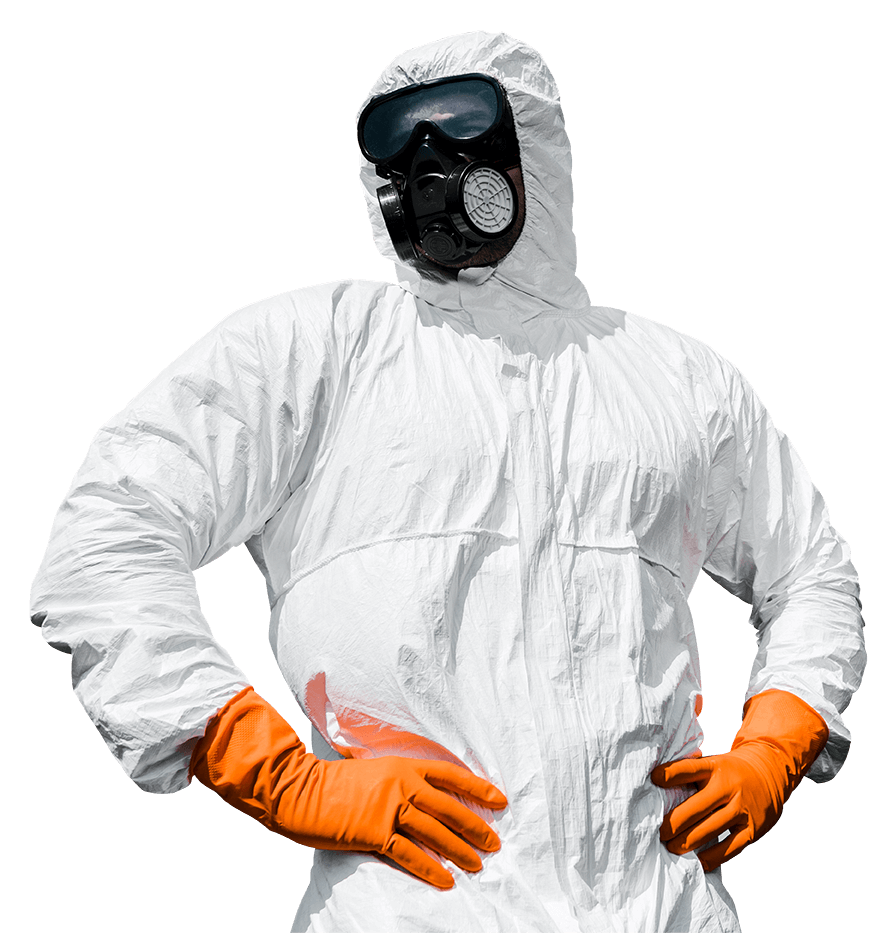 projektowanie stron internetowych