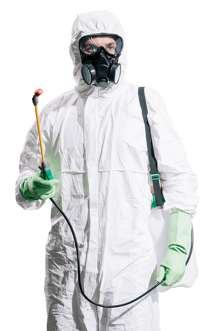 projektowanie stron internetowych